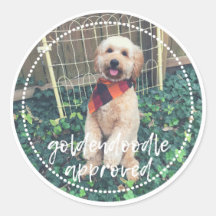 Goldendoodle genehmigte Hundeaufkleber