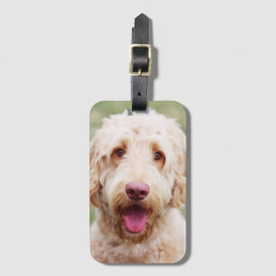 Goldendoodle Gepäckanhänger