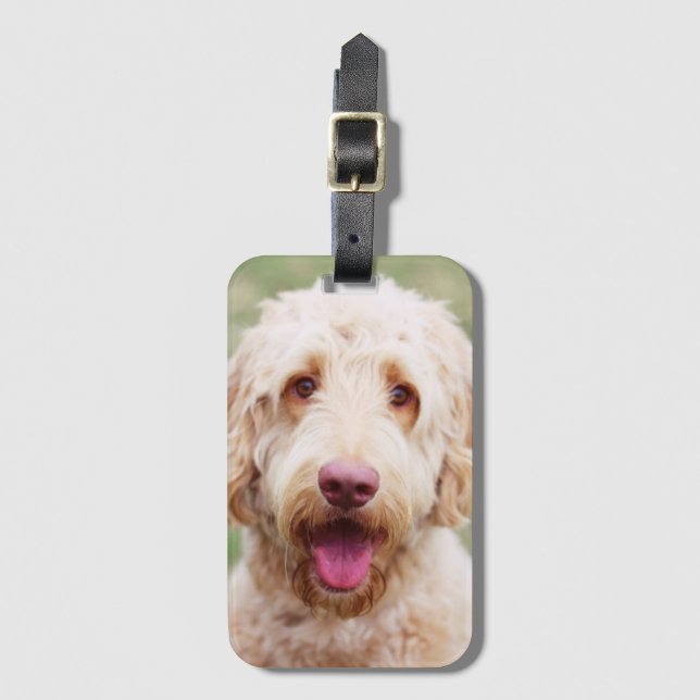 Goldendoodle Gepäckanhänger (Vorderseite Vertikal)