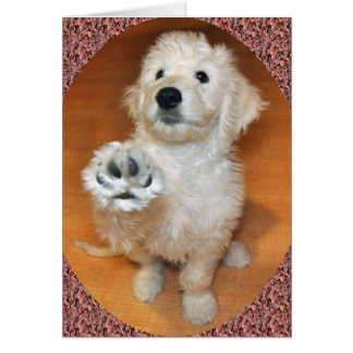 Goldendoodle Gespräch zur Tatzenkarte