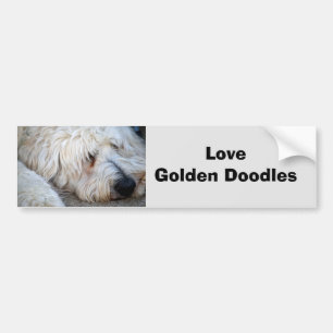 Goldendoodle-Hintergrund Autoaufkleber