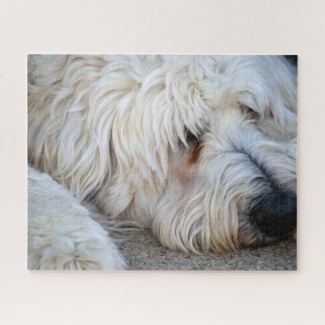 Goldendoodle-Hintergrund Puzzle (Horizontal)