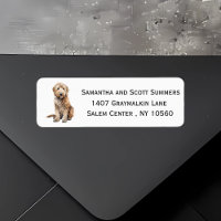 Goldendoodle-Hund