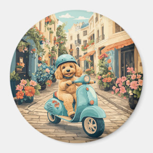 Goldendoodle-Hund fährt auf Scooter durch europäis Magnet