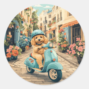 Goldendoodle-Hund fährt auf Scooter durch europäis Runder Aufkleber