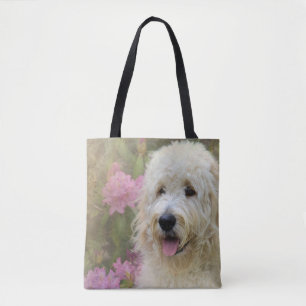 Goldendoodle Hund im Hydrangegarten