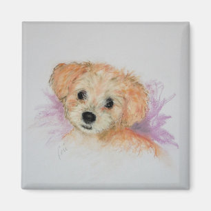 Goldendoodle Hündchen-Kunst-Magnet Magnet