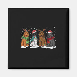 Goldendoodle Hunde Weihnachtslicht Golden Doodle D Magnet
