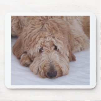 GoldenDoodle Hundegeschenk Mousepads/Mousemats Mousepad