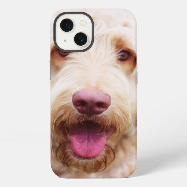 Goldendoodle iPhone Hülle (Rückseite)