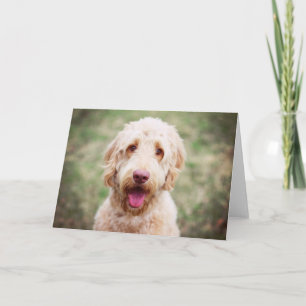 Goldendoodle Karte