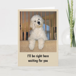 Goldendoodle-Karte Karte