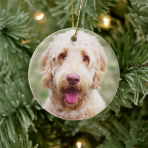 Goldendoodle Keramik Ornament