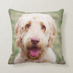 Goldendoodle Kissen