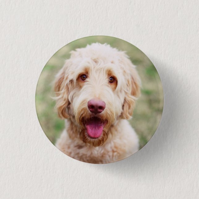 Goldendoodle Lächeln Button (Vorderseite)