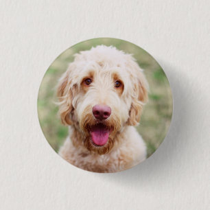 Goldendoodle Lächeln Button