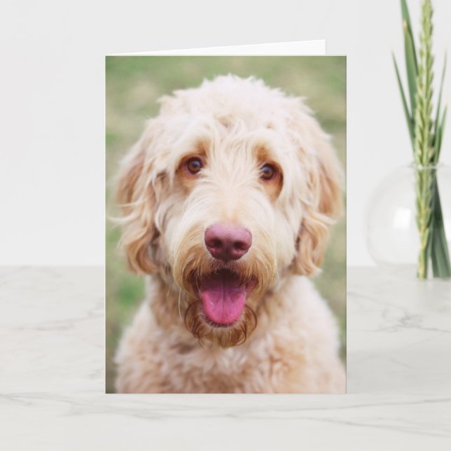 Goldendoodle Lächeln Karte (Vorderseite)