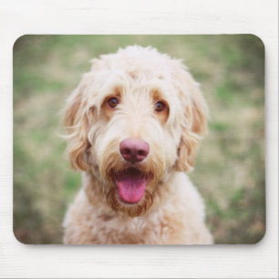 Goldendoodle Lächeln Mousepad
