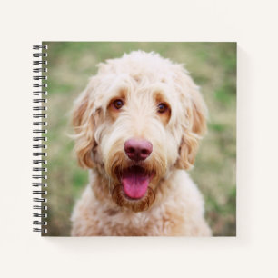 Goldendoodle Lächeln Notizbuch