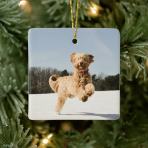Goldendoodle läuft durch das Feld Keramikornament