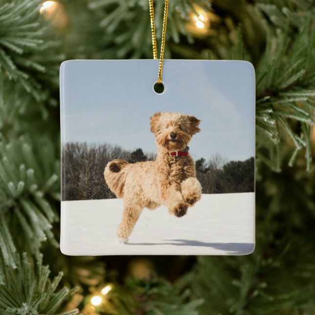 Goldendoodle läuft durch das Feld Keramikornament (Baum)