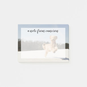 Goldendoodle läuft durch Felder Post-it Klebezettel