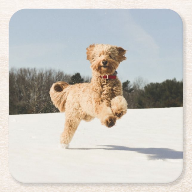 Goldendoodle läuft durch Felder Rechteckiger Pappuntersetzer (Vorderseite)