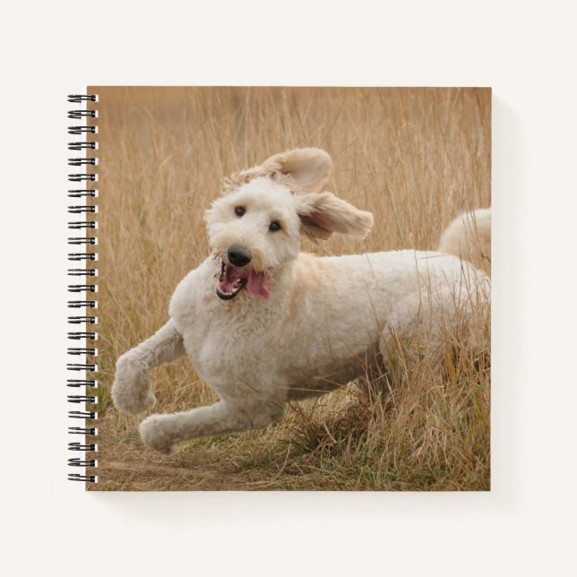 Goldendoodle läuft durch Gras Notizbuch (Vorderseite)