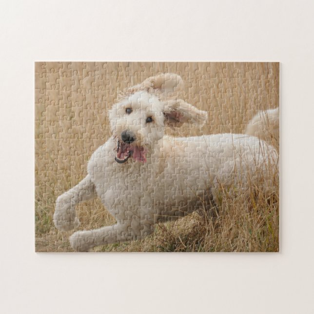 Goldendoodle läuft durch Gras Puzzle (Horizontal)