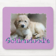 Goldendoodle Liebhaber Geschenke