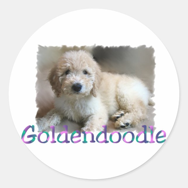 Goldendoodle Liebhaber Geschenke Runder Aufkleber (Vorderseite)