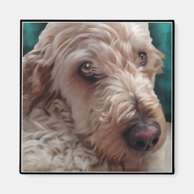 Goldendoodle Magnet (Vorne)