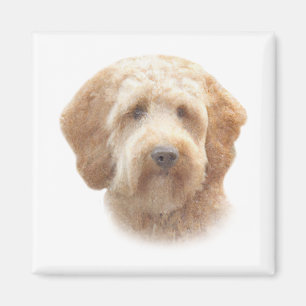 Goldendoodle-Magnet Magnet