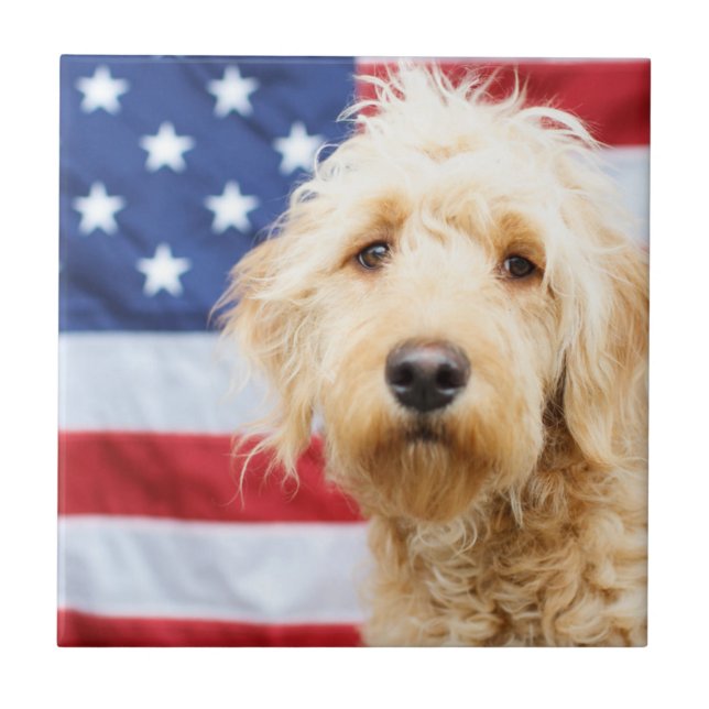 Goldendoodle mit amerikanischer Flagge Fliese (Vorderseite)