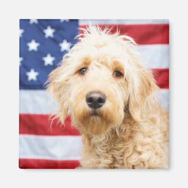Goldendoodle mit amerikanischer Flagge Magnet (Vorne)