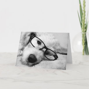 Goldendoodle mit Brille Karte