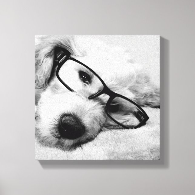 Goldendoodle mit Brille Leinwanddruck (Vorderseite)