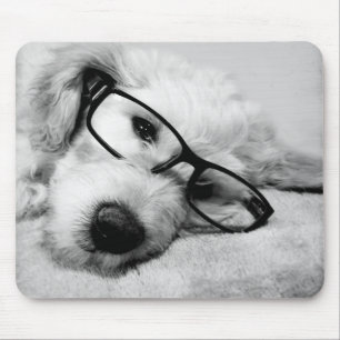 Goldendoodle mit Brille Mousepad
