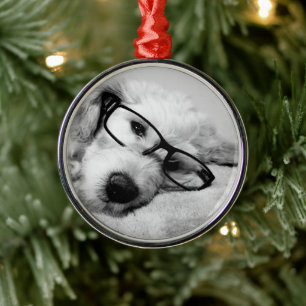 Goldendoodle mit Brille Ornament Aus Metall