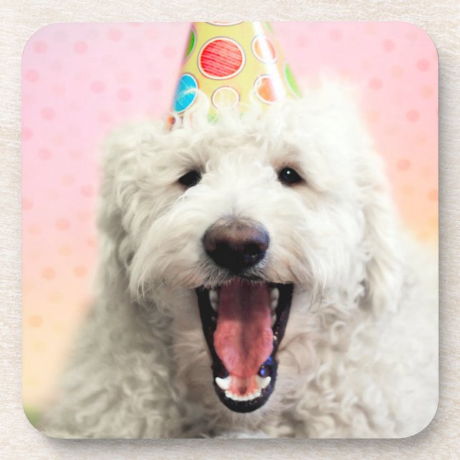 Goldendoodle mit Party-Hut Getränkeuntersetzer (Vorderseite)