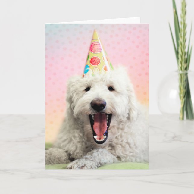 Goldendoodle mit Party-Hut Karte (Vorderseite)