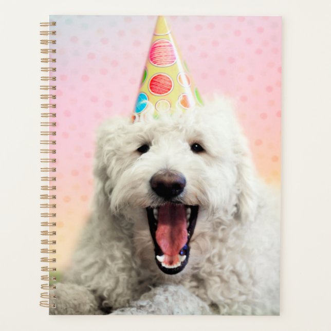 Goldendoodle mit Party-Hut Planer (Vorderseite)