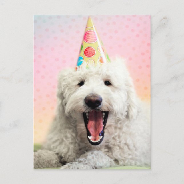 Goldendoodle mit Party-Hut Postkarte (Vorderseite)