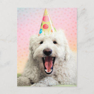 Goldendoodle mit Party-Hut Postkarte