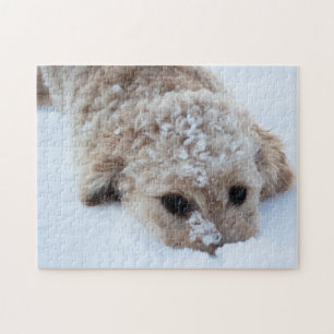 Goldendoodle mit Schnee Puzzle