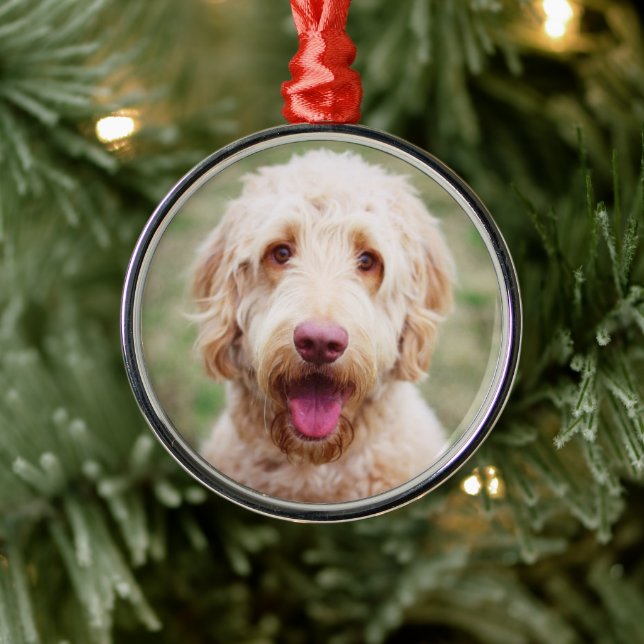 Goldendoodle Ornament Aus Metall (Baum)