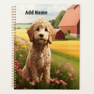 Goldendoodle Planer