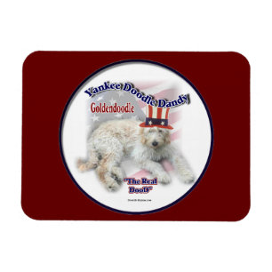 Goldendoodle politischer Spaß Magnet