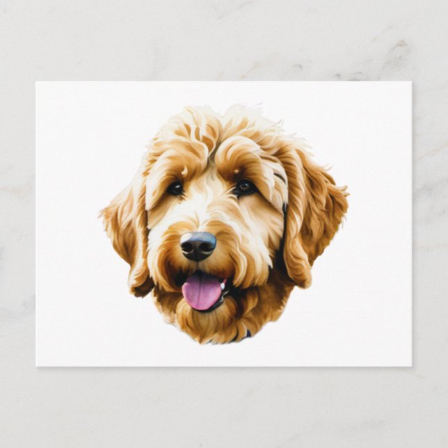 Goldendoodle Postkarte (Vorderseite)