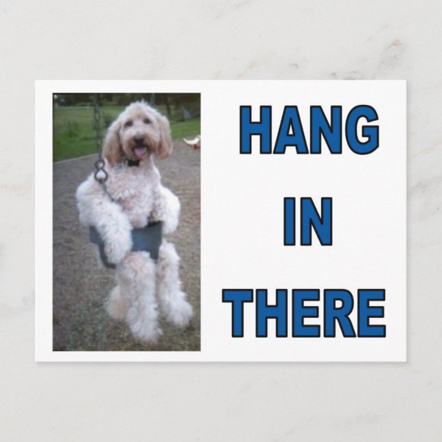 GOLDENDOODLE POSTKARTE (Vorderseite)